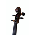 Viejo Violín Hopf