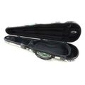 Winter shaped violin case dekor Plus