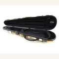 Winter shaped violin case dekor Plus