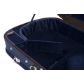 RIBONI Double Violin case 286