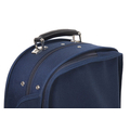 RIBONI Double Violin case 286