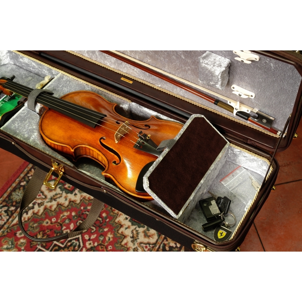 Musafia Lievissima oblong Violin case Design Order