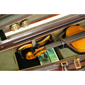 Musafia Master Series Dart Viola case Design Order