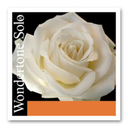 Pirastro Wondertone Solo Violin String E advanced