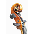 Old violin Maggini model