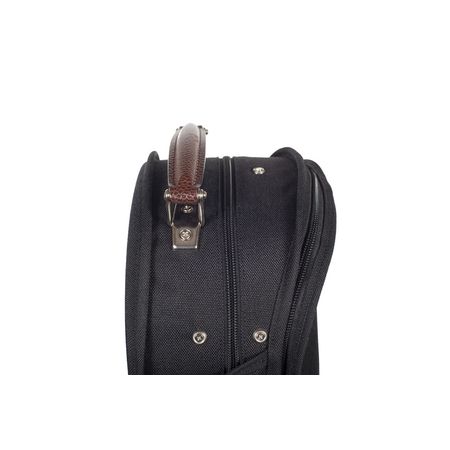 Maurizio RIBONI NIC Violin case design order Meistervioline